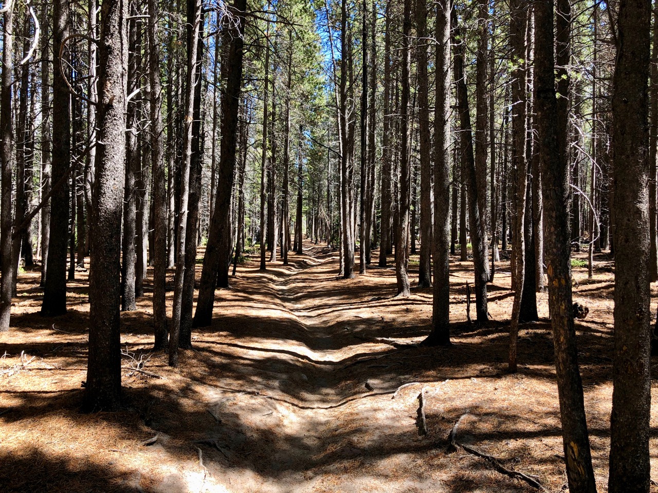 Sprague-Bierstadt Trail