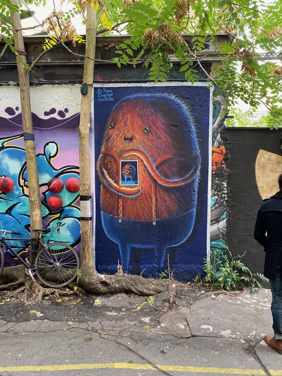 Haus Schwarzenberg street art