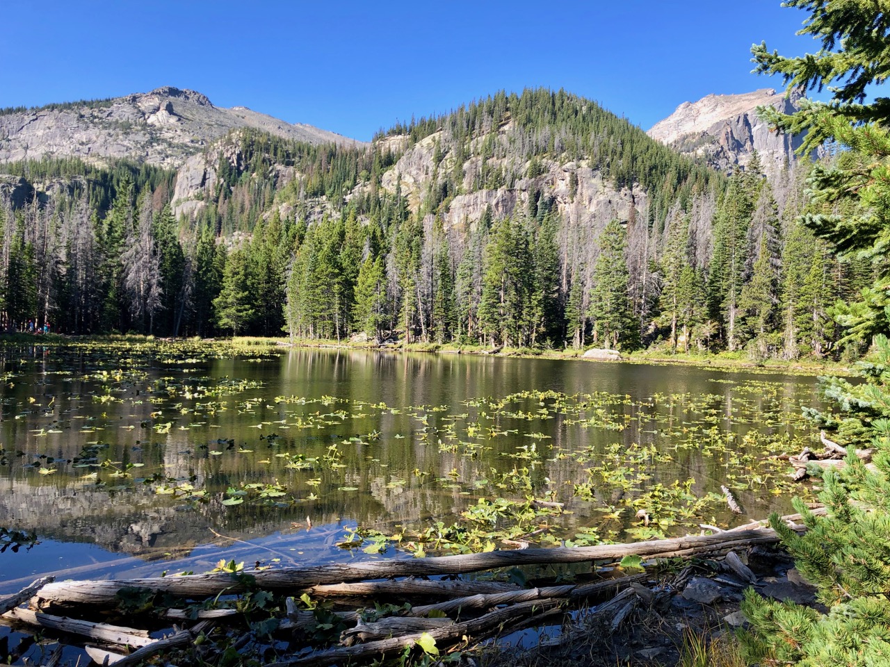 Nymph Lake