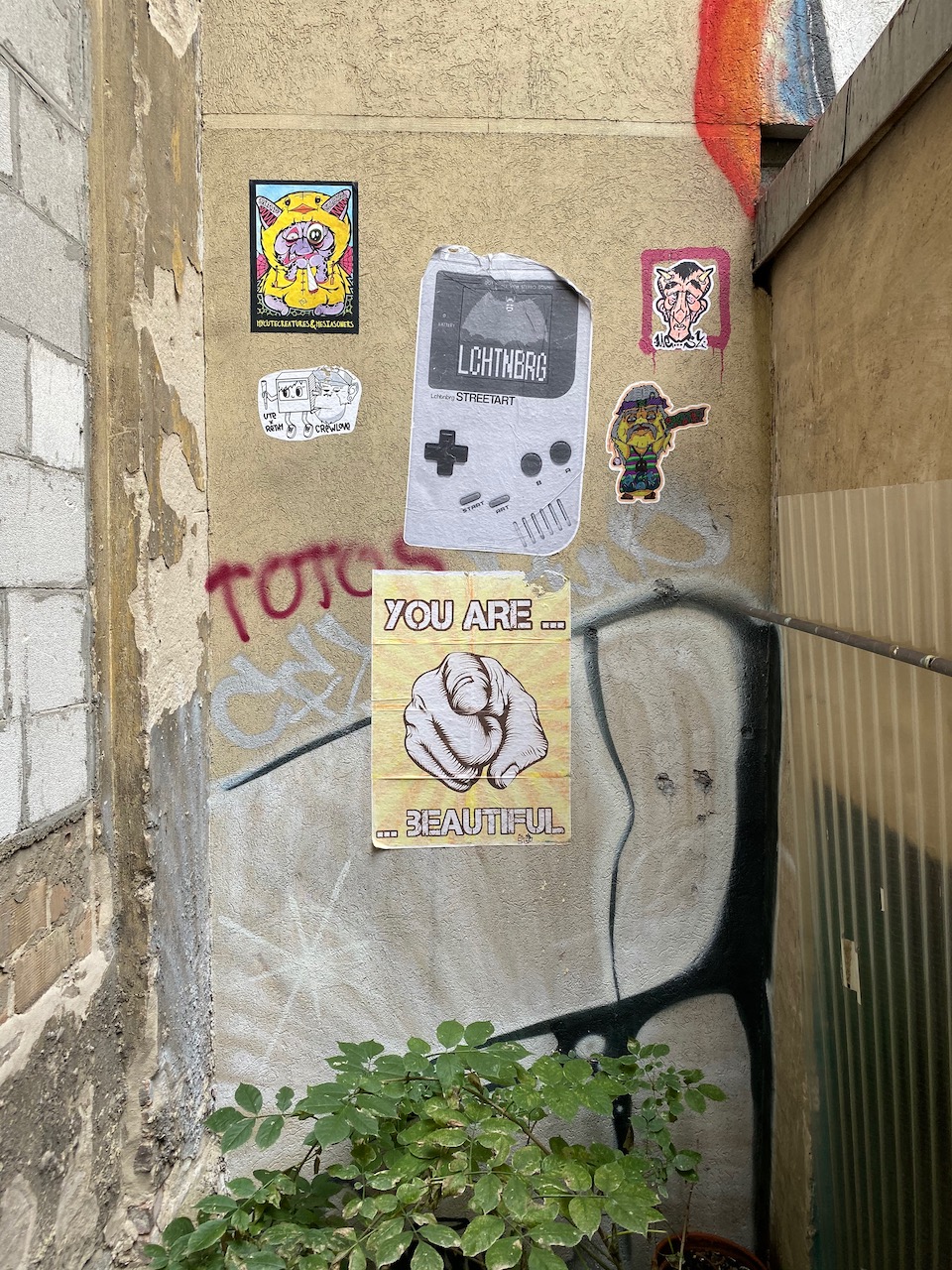 Haus Schwarzenberg street art