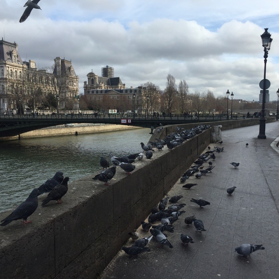 Seine from Île de la Cité